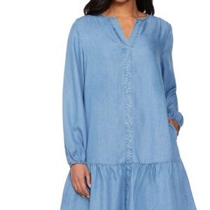 Buffalo David Bitton Sky Blue Denim Dress
